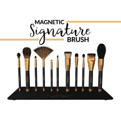 Magnetic Signature Brush & Metal Plate
